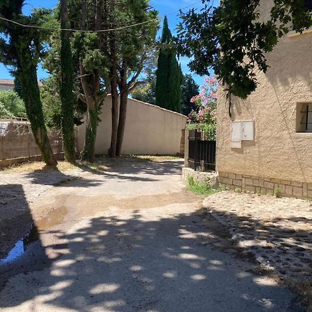 Le Studio D Aurelie Avec Spa Ete En Pleine Campagne Et Proche De Toute Commodite Roquemaure  Exterior foto