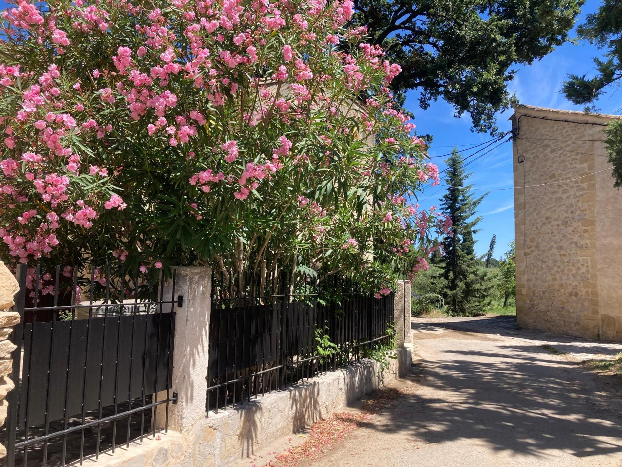 Le Studio D Aurelie Avec Spa Ete En Pleine Campagne Et Proche De Toute Commodite Roquemaure  Exterior foto